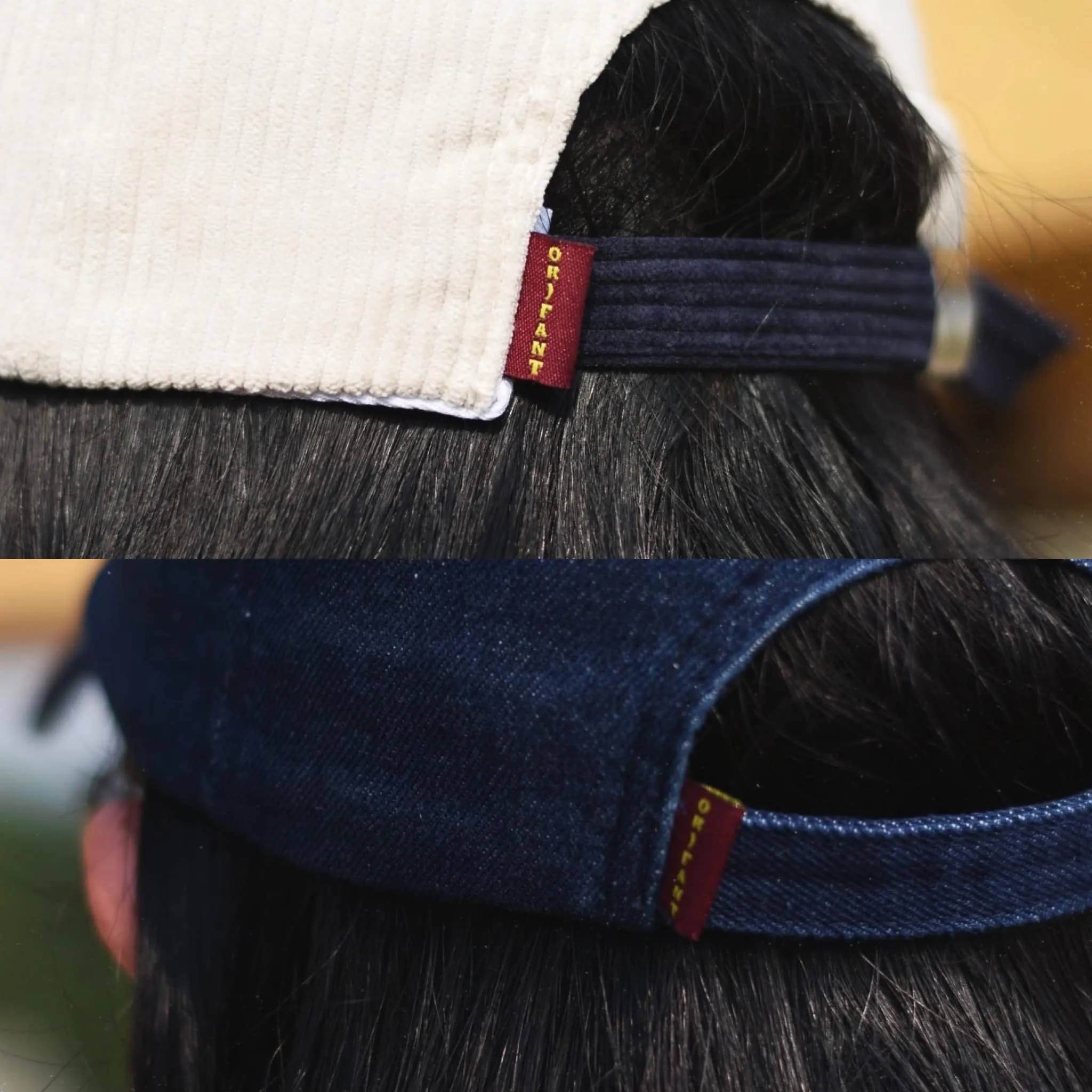 ORF-CAP collection 2024