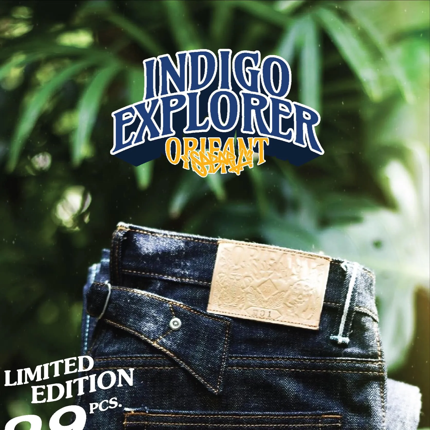 INDIGO EXPLORER orifant x sabart